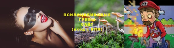 mdpv Арсеньев