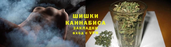 гидра Вяземский