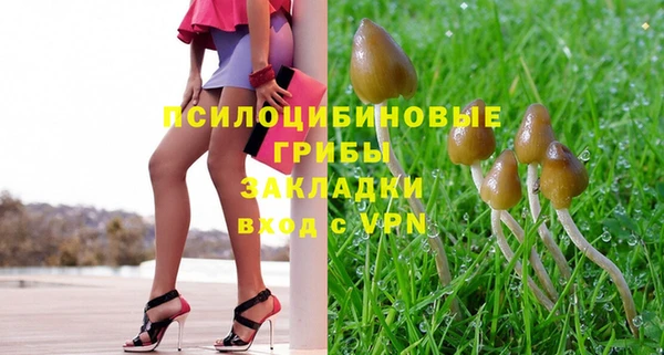 mdpv Арсеньев